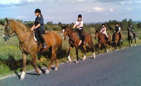 TREC: Forma&ccedil;&atilde;o de Praticantes de Plena Natureza