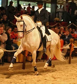 Leil&atilde;o Internacional Luso-Brasileiro rendeu 507 mil euros...