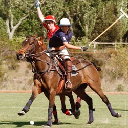 La Varzea Polo Club inaugura a temporada de Polo