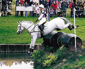 ERRATA. - Na not&iacute;cia "Cavalo Lusitano em Badminton"