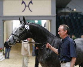 Top-priced horse Cavalitto sold to Spain