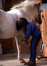 Porto: Sport organiza férias desportivas