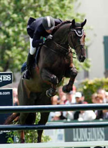 Crocus Graverie retired to stud