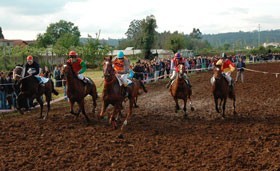 Campeonato de Galope 2007 começou na Maia