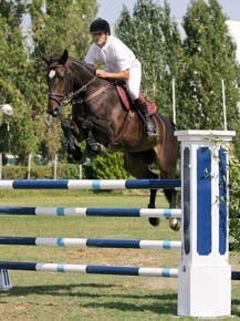 Égua vendida em Portugal venceu o CCI* de Punchestown