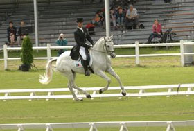 CIC2* Saumur: Participa&ccedil;&atilde;o discreta dos cavaleiros nacionais