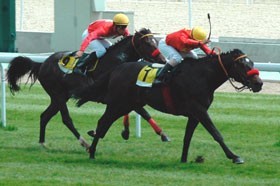 Jos&eacute; Cerqueira em segundo no Hip&oacute;dromo da Zarzuela
