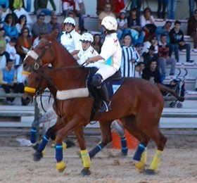Lagoa e Sto. Ant&oacute;nio brilharam na Ovibeja