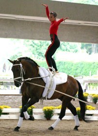 Aulas experimentais de Volteio Desportivo na SHP