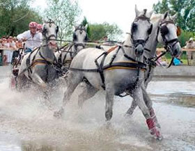 Overall winner Zolt&aacute;n L&aacute;z&aacute;r at Vecses