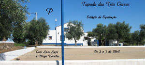 Thumbelina, the world's smallest horse