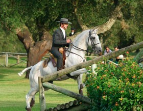 I Ta&ccedil;a de Portugal de Equita&ccedil;&atilde;o de Trabalho