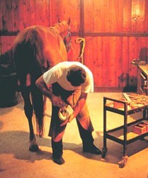 Curso especial sobre Ferra&ccedil;&atilde;o