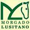 Morgado Lusitano passa a condomínio...