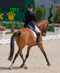 Aachen: Isabell Werth imbatível no CDIO3*
