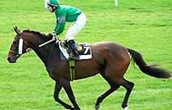 Nagore Otaño in tragic accident