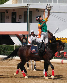 Oito pa&iacute;ses no Cto. Europeu de Horseball S&eacute;nior