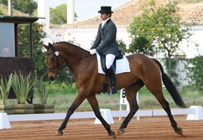 Frederico Mexia de Almeida décimo terceiro na FEI Taça do Mundo