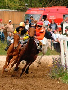 Pedras Salgadas : Corrida de Cavalos e Derby de Atrelagem