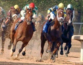 Gripe Equina alastra na Austrália
