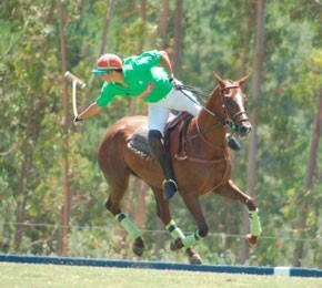 Polo: Taça de Prata vem para Portugal