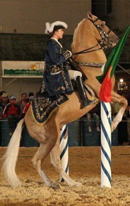 Equestrian entertainment at the FEI European Endurance Championship «Open» 2007