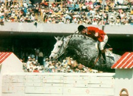 Her&oacute;is ol&iacute;mpicos imortalizados em Patroni del Vivaro