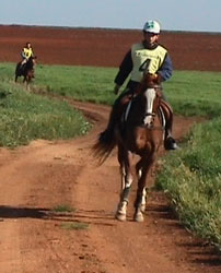 Doze Cavaleiros vão disputar o Cto. da Europa de Resistência Equestre