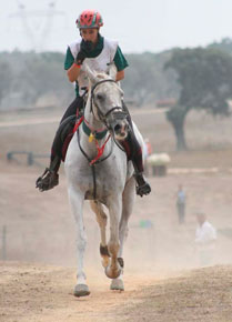 Spanish Luis Sanchez won the CEI*** Jerez de la Frontera