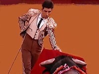 Pedrito sofre acidente em tentadero