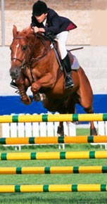 Taça da Juventude 2007: Na luta pelas medalhas