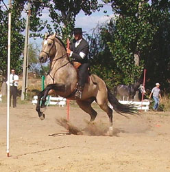 Primeiros dias de EQUIMAGOS com “casa cheia”