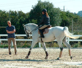 Edwin Hoogenraat ajuda na preparação de cavaleiros de obstáculos