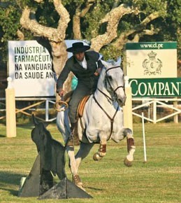 Pedro Torres Bicampeão Nacional de Equitação de Trabalho
