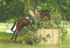 British event rider and horse killed in Florida