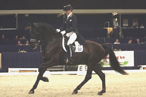 Dressage riders use Oldenburg to prepare for Olympics.