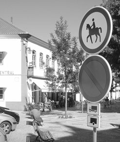 Golegã: Desrespeito de Cavaleiro provocou acidente na esplanada do Central