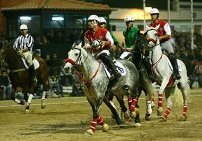 Horseball Club Col&eacute;gio Vasco da Gama – Pura emo&ccedil;&atilde;o na Ta&ccedil;a de Portugal