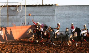 Ta&ccedil;a de Portugal de Horseball - Pinhal Novo