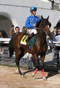 Jóquei português volta a brilhar em Espanha