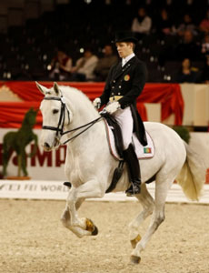 Lusitano influence at Young Riders World Championship
