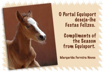 Que o Ano 2008 nos traga uma esperan&ccedil;a renovada...