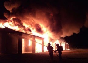 Twenty race horses were killed in a fire in Turim