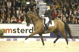 Anky e Salinero dançaram para a vitória em Amesterdão
