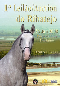 First Ribatejo Horse Auction - CNEMA Santarém