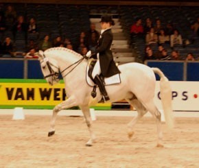 Paganini Best Stallion in Zwolle