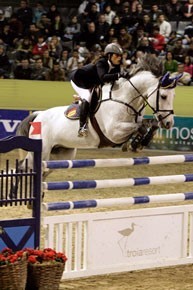 Coltaire Z vai cumprir funções de reprodutor na Alemanha