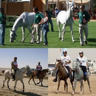 Shaikh Hamdan wins President's Cup