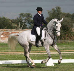 Barroca D'Alva: Results of the Dressage tests of the CIC1* and the CIC**