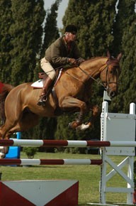 Circuito do Sol: Steve Guerdat venceu o Grande Prémio